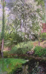 May Petals on the Moat Edge